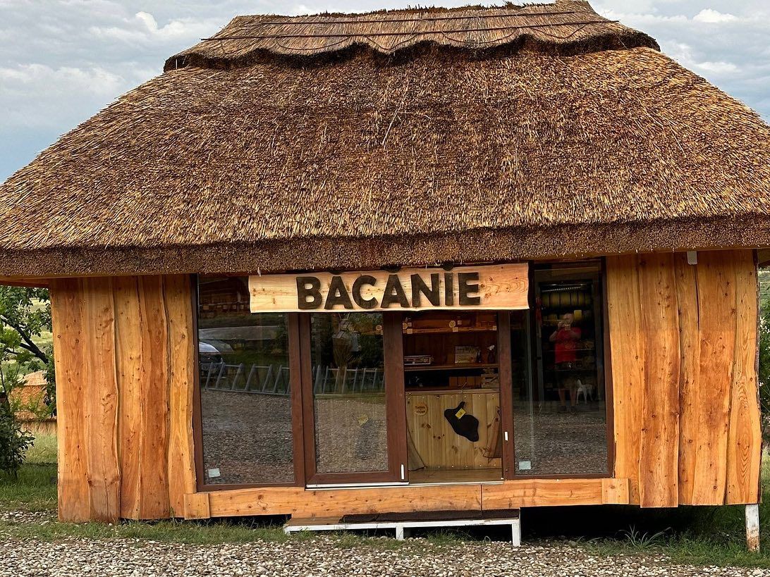 bacanie ferma dacilor